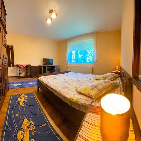 Hotel Casa Popa Cîrţişoara Esterno foto