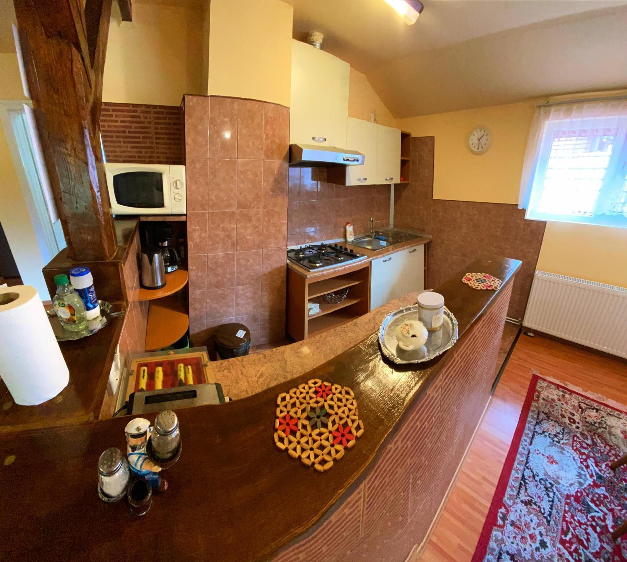 Hotel Casa Popa Cîrţişoara Esterno foto