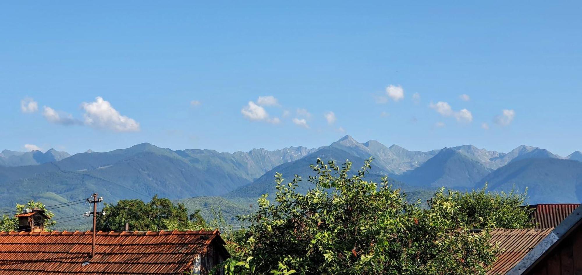 Hotel Casa Popa Cîrţişoara Esterno foto